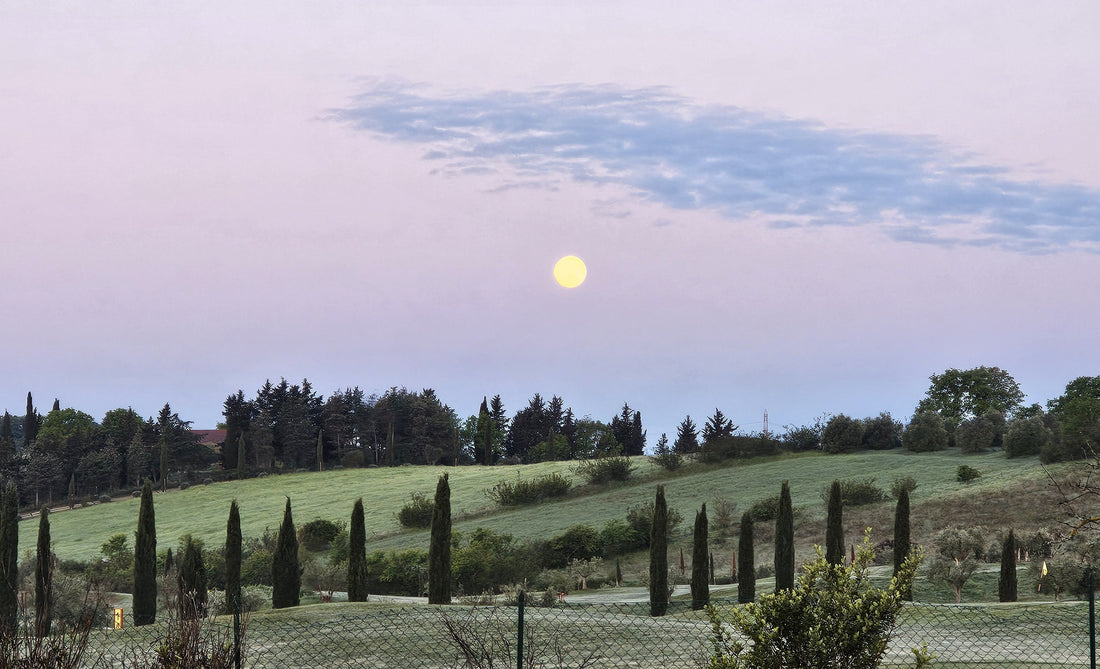 Inside Collezione Toscana: A Journey Through Linen and Landscape