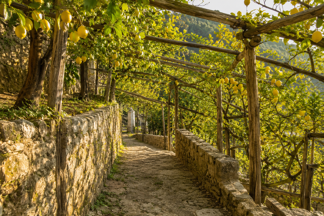 Inside Collezione Amalfi: Lemons, Light & the Work of Hands