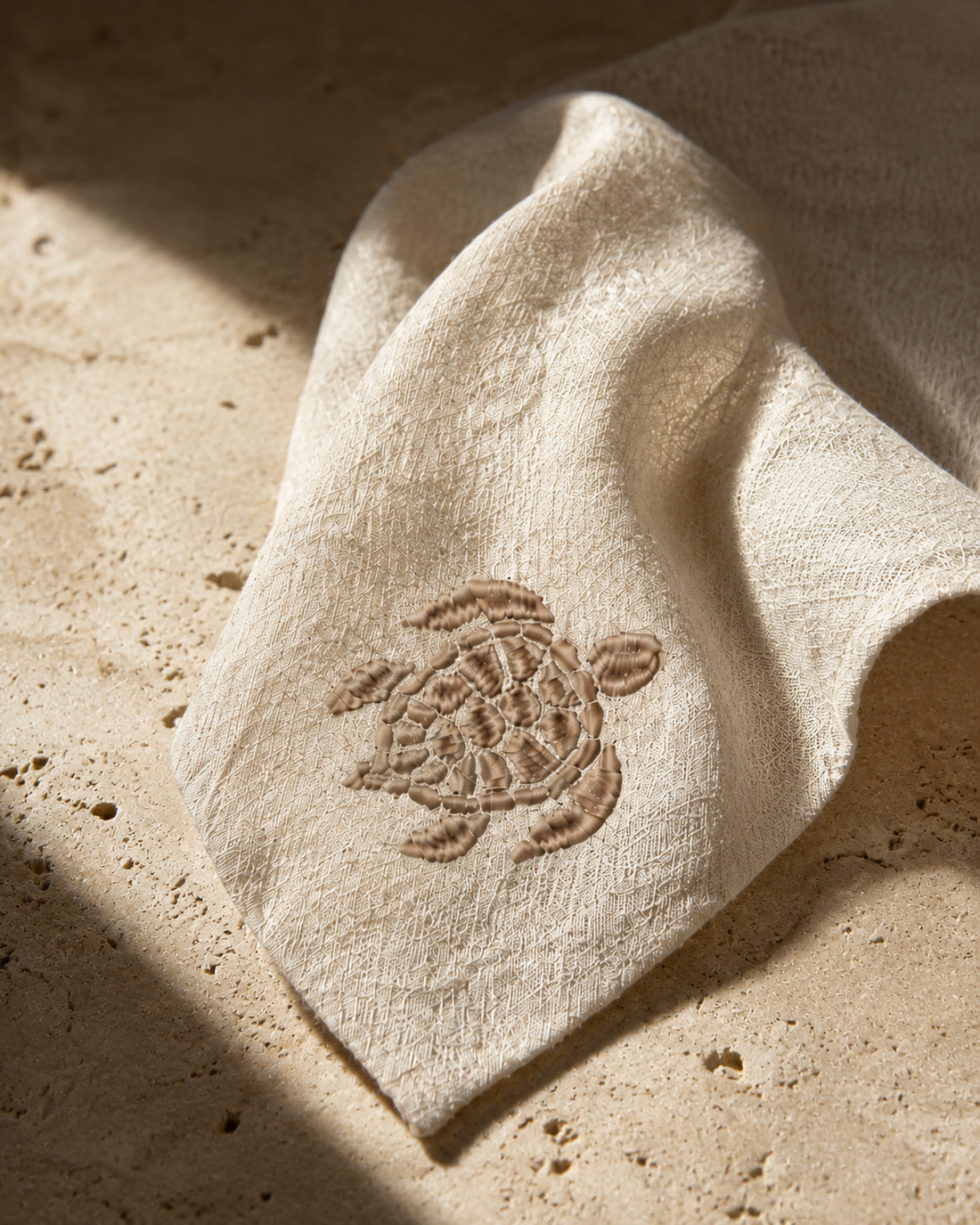 Why Is There a Turtle in Collezione Toscana?
