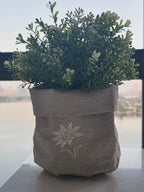  plant in a folded oatmeal stone coated linen pot cover with white embroidered floral detailing, set on a windowsill with a blurred outdoor water and city view in the background.