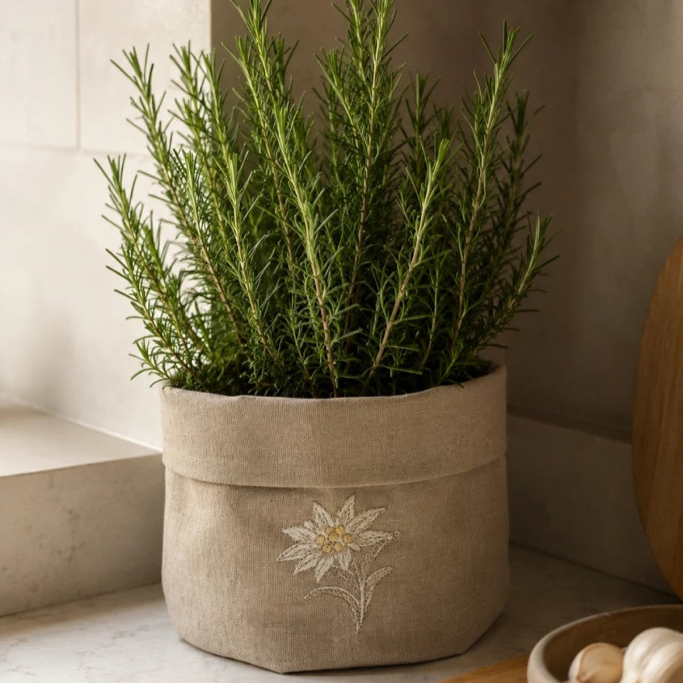 A green rosemary plant in a oatmeal coated linen planter with an embroidered white flower, set on a kitchen counter.